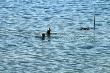 Property photo of 65 Main Coast Road Pine Point SA 5571