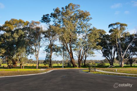 Property photo of 11 Strathmore Court Strathfieldsaye VIC 3551