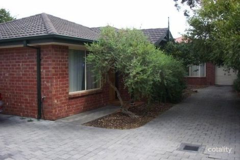 3/53 Angus Ave, Edwardstown, SA 5039