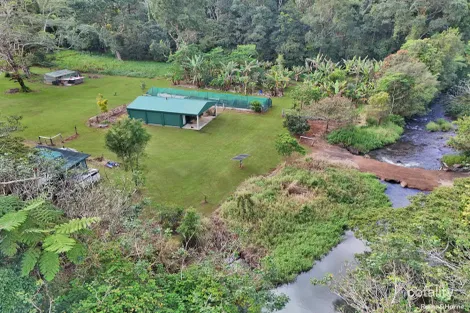 524 Theresa Creek Rd, Millaa Millaa, QLD 4886