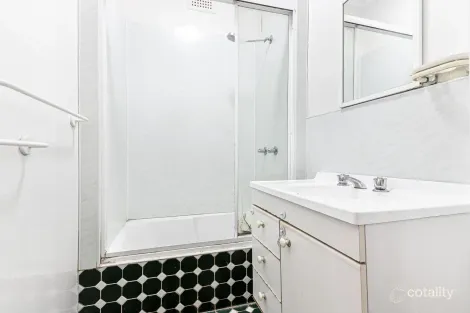 Property photo of 264 Lyons Road Russell Lea NSW 2046