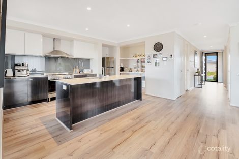 Property photo of 55 Butterleaf Crescent Pimpama QLD 4209