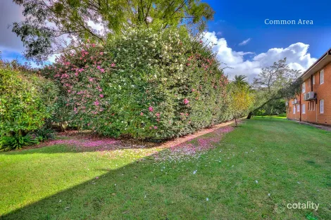 Property photo of 14/6 King Street Turramurra NSW 2074