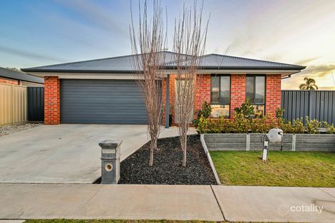 Property photo of 13 Verdi Boulevard Irymple VIC 3498