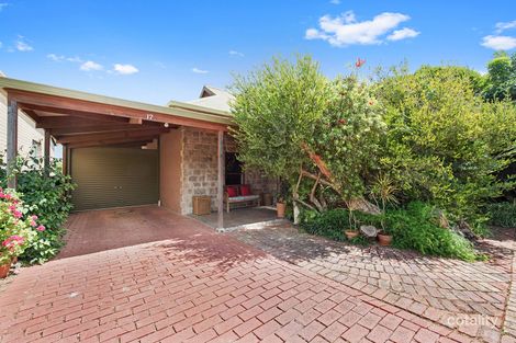 Property photo of 17 Barnes Avenue Magill SA 5072