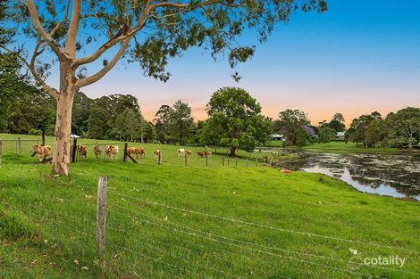 Property photo of 91 Berganns Road Witta QLD 4552