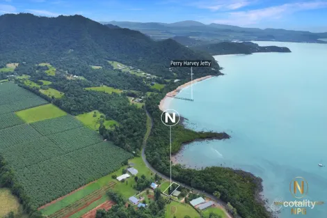 Property photo of 32 Alexander Drive Mission Beach QLD 4852