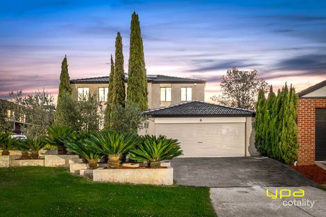 Property photo of 8 Begonia Court Endeavour Hills VIC 3802