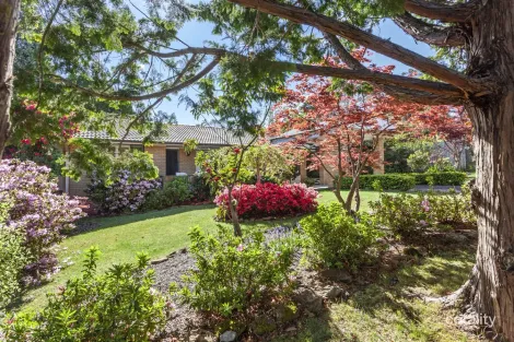 25 Asquith Ave, Wentworth Falls, NSW 2782
