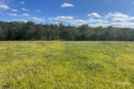 Property photo of 52 Bullaburra Street Delaneys Creek QLD 4514