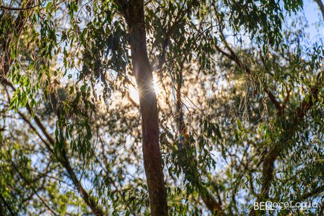 Property photo of 3 Fisherman Drive Reefton VIC 3799