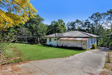 Property photo of 62 Quandong Street Ashgrove QLD 4060