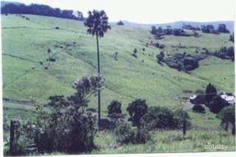 Property photo of 226 Jerrara Road Jerrara NSW 2533