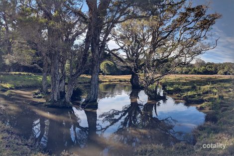 Property photo of 217 Simmsville Road Stroud NSW 2425