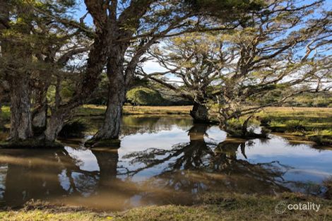 Property photo of 217 Simmsville Road Stroud NSW 2425