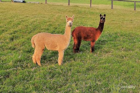 Property photo of 176 Mulgrave Road Mulgrave NSW 2756