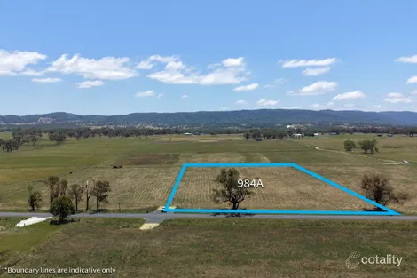 984a Bruxner Way, Tenterfield, NSW 2372