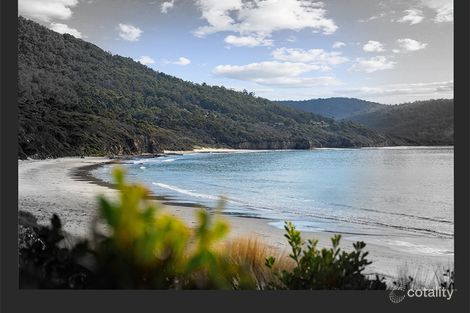 272 Blowhole Rd, Eaglehawk Neck, TAS 7179