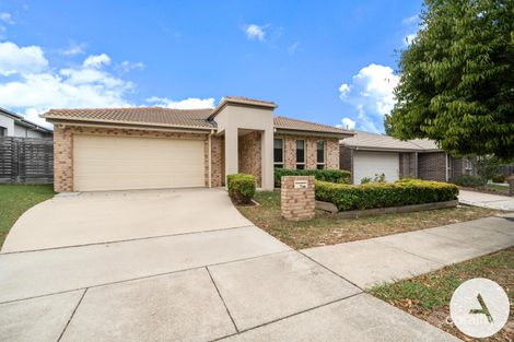 Property photo of 7 Kylie Tennant Street Franklin ACT 2913