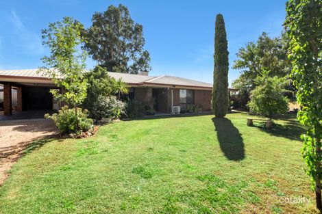 41 Goolwa St, Renmark North, SA 5341