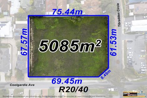 91 Coolgardie Ave, Ascot, WA 6104