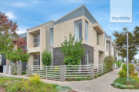 Property photo of 41 Tiara Street Lightsview SA 5085