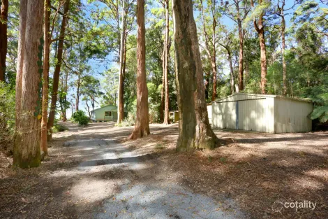 Property photo of 1961 Springbrook Road Springbrook QLD 4213