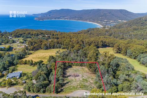 2/100 Pirates Bay Dr, Eaglehawk Neck, TAS 7179