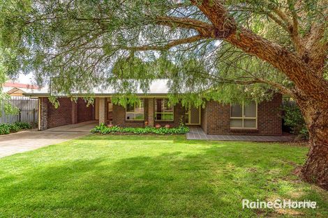 Property photo of 11A Alexandrina Road Mount Barker SA 5251