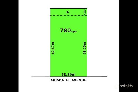 Property photo of 3 Muscatel Avenue Wattle Park SA 5066