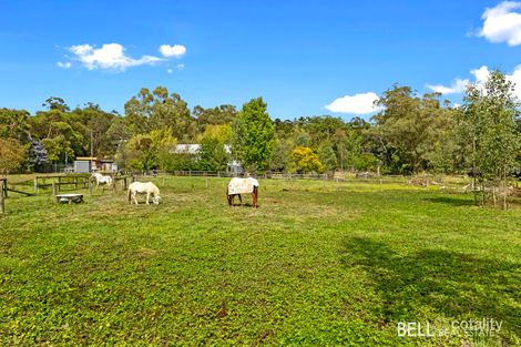 Property photo of 2531 Warburton Highway Yarra Junction VIC 3797
