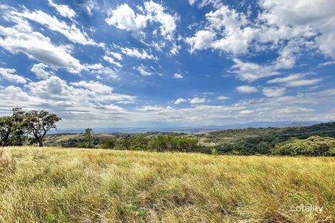 171 Tourles Rd, Little Jacks Creek, NSW 2339