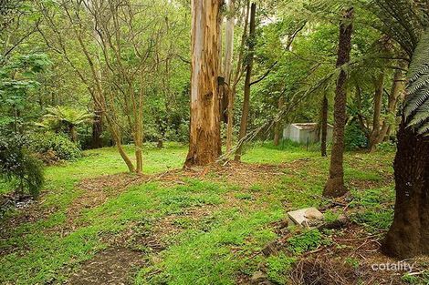 Property photo of 36 Monbulk Road Belgrave VIC 3160