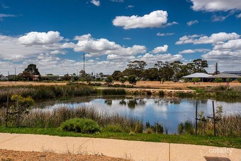 Property photo of 12 Filly Street St Clair SA 5011