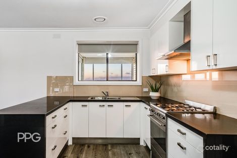 Property photo of 26 Graylea Avenue Herne Hill VIC 3218