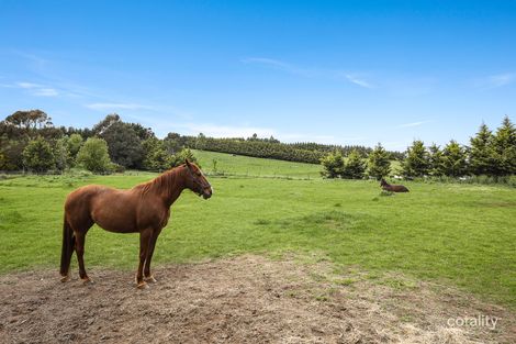 Property photo of 151 Ochiltrees Road Romsey VIC 3434