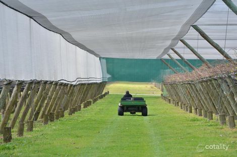 300-320 Main Western Rd, Tamborine Mountain, QLD 4272