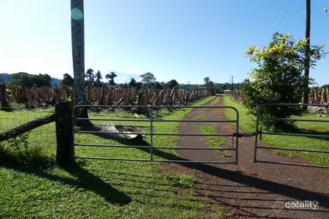 336 Camp Creek Rd, Camp Creek, QLD 4871