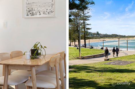 Property photo of 6/146 Pacific Parade Dee Why NSW 2099