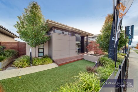 8 Red Maple Dr, Cranbourne West, VIC 3977