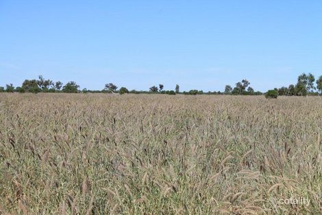 Lot 9 Runnymede Rd, Bollon, QLD 4488