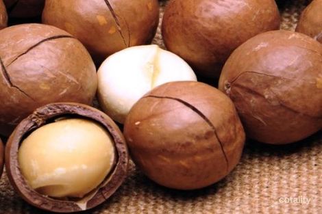 127 Barrs Rd, Bucca, QLD 4670