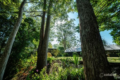 Property photo of 31 Scotchman Road Bellingen NSW 2454