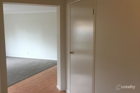 Property photo of 55 Reedmans Road Ormeau QLD 4208