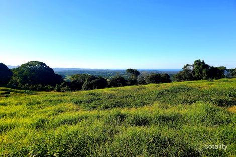 Property photo of 369 Coolamon Scenic Drive Coorabell NSW 2479
