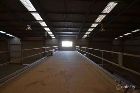 41 Carrington Rd, Torrington, QLD 4350