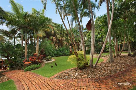 Property photo of 25 Pertaka Street Buderim QLD 4556