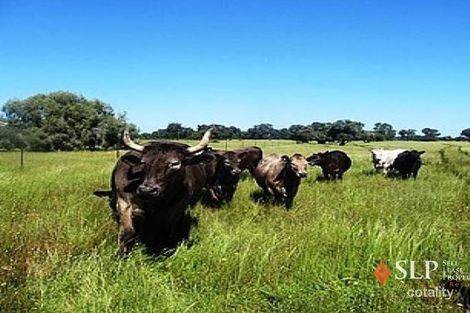 64 Muckenburra Rd, Muckenburra, WA 6503