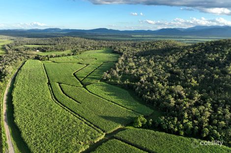 155 Mentmore Rd, Yalboroo, QLD 4741