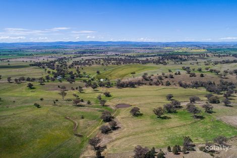 2005 Old Winton Rd, Winton, NSW 2344